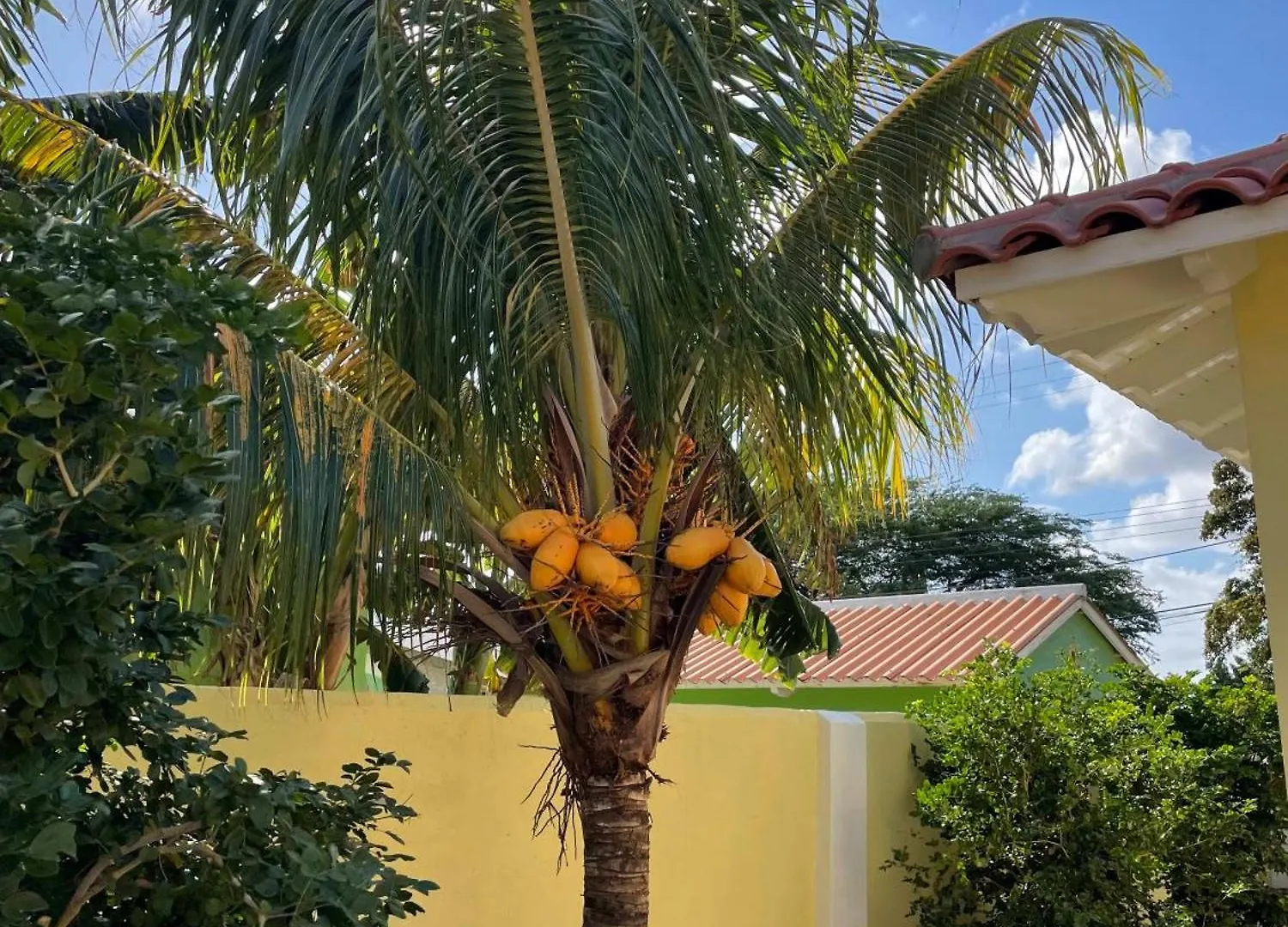 21 Villa Chuchubi Kralendijk Bonaire, Sint Eustatius & Saba